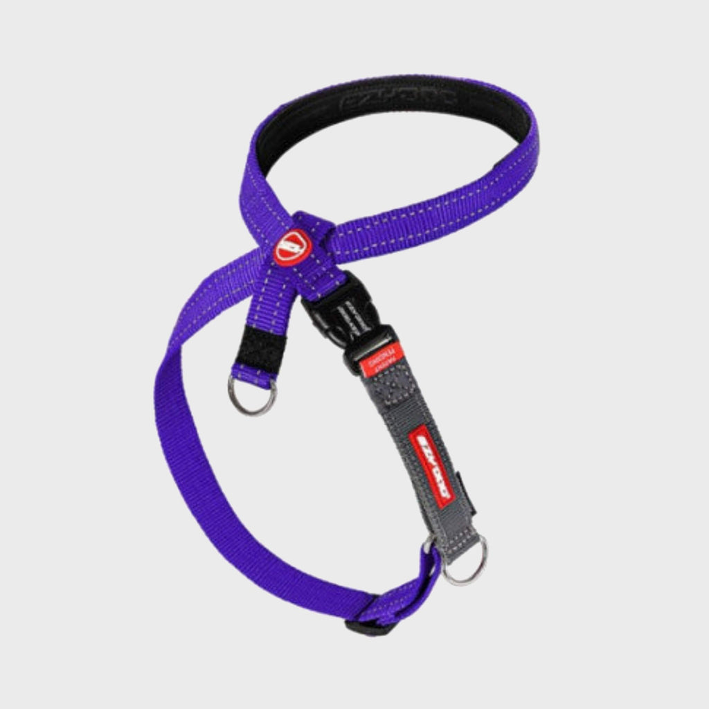 Cross Check Training Harness - Slickers ‚óä Doghouse