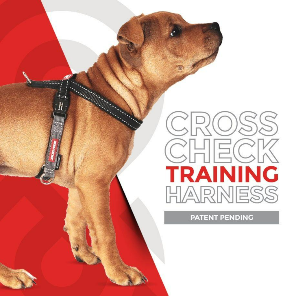 EzyDog Harness Cross Check Training Harness