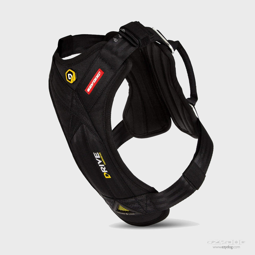 Drive Car Harness - Slickers ‚óä Doghouse