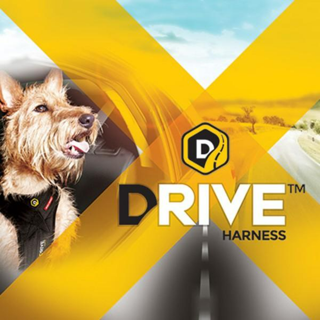 EzyDog Harness Drive Car Harness