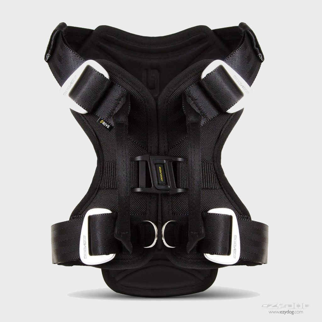 Drive Car Harness - Slickers ‚óä Doghouse