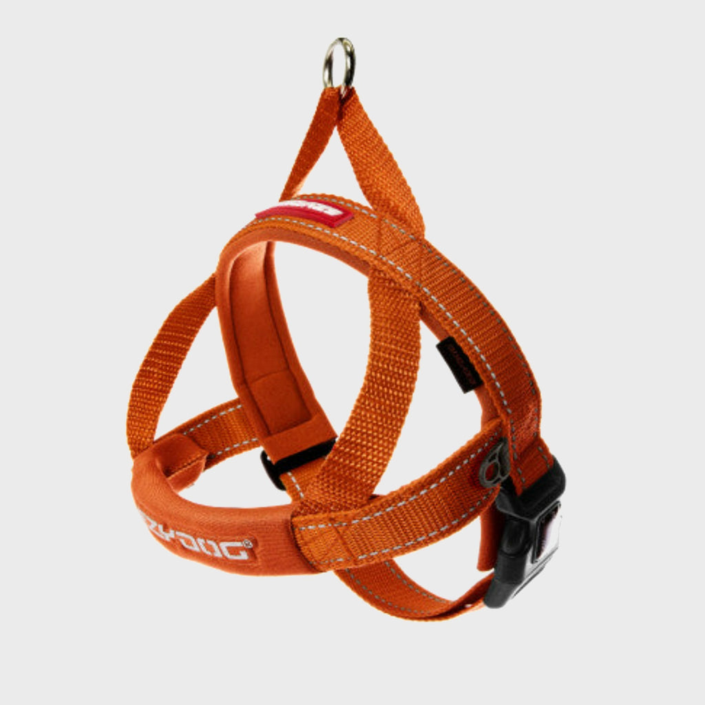 Quick Fit Harness - Slickers ‚óä Doghouse