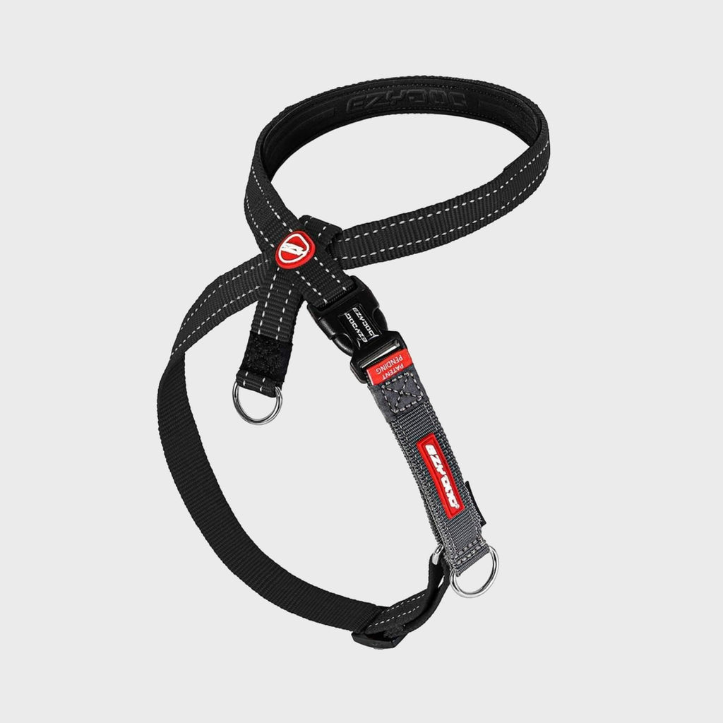 Cross Check Training Harness - Slickers ‚óä Doghouse