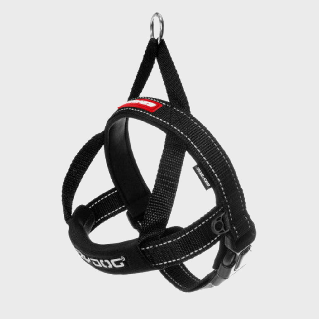 EzyDog Harness XS / BLACK Quick Fit Harness