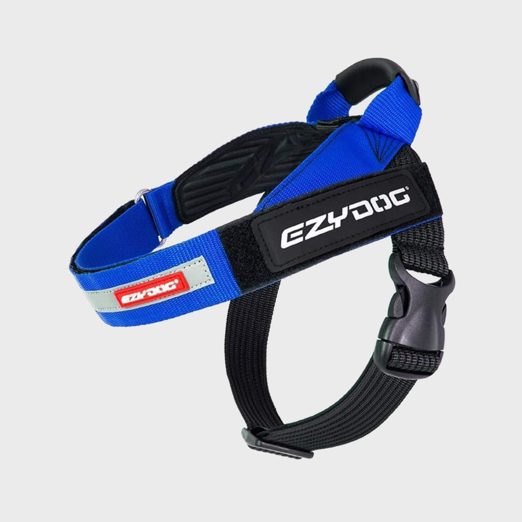 EzyDog Harness XS / BLUE Express Harness