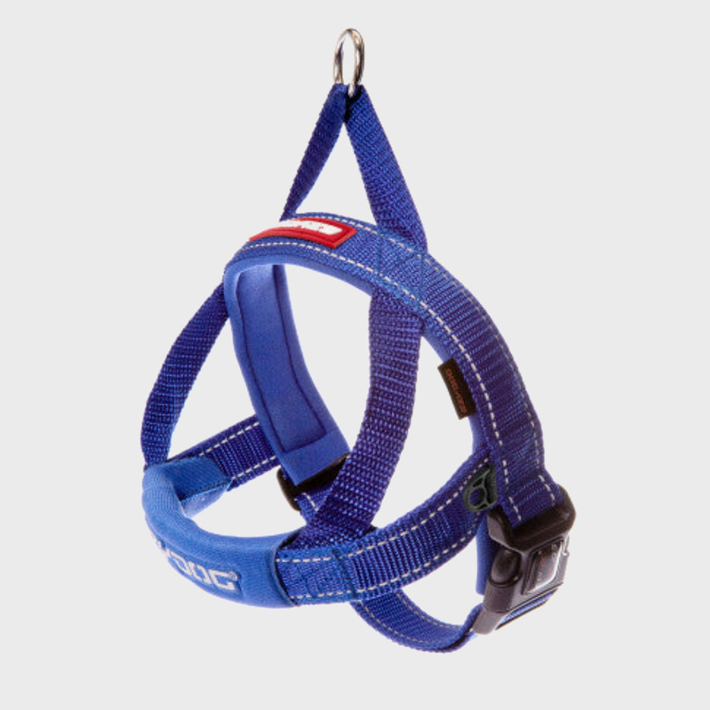 EzyDog Harness XS / BLUE Quick Fit Harness