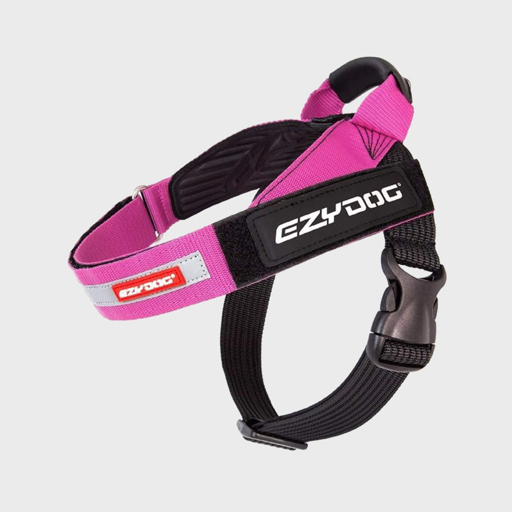 EzyDog Harness XS / PINK Express Harness