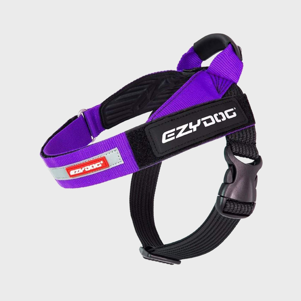 EzyDog Harness XS / PURPLE Express Harness