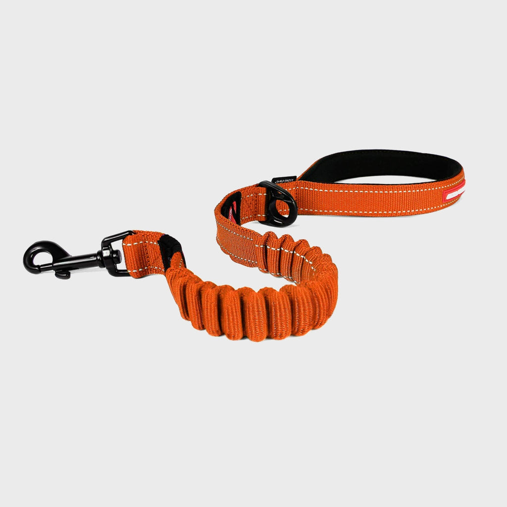 EzyDog Lead 25" / Blaze Orange Zero Shock Dog Lead