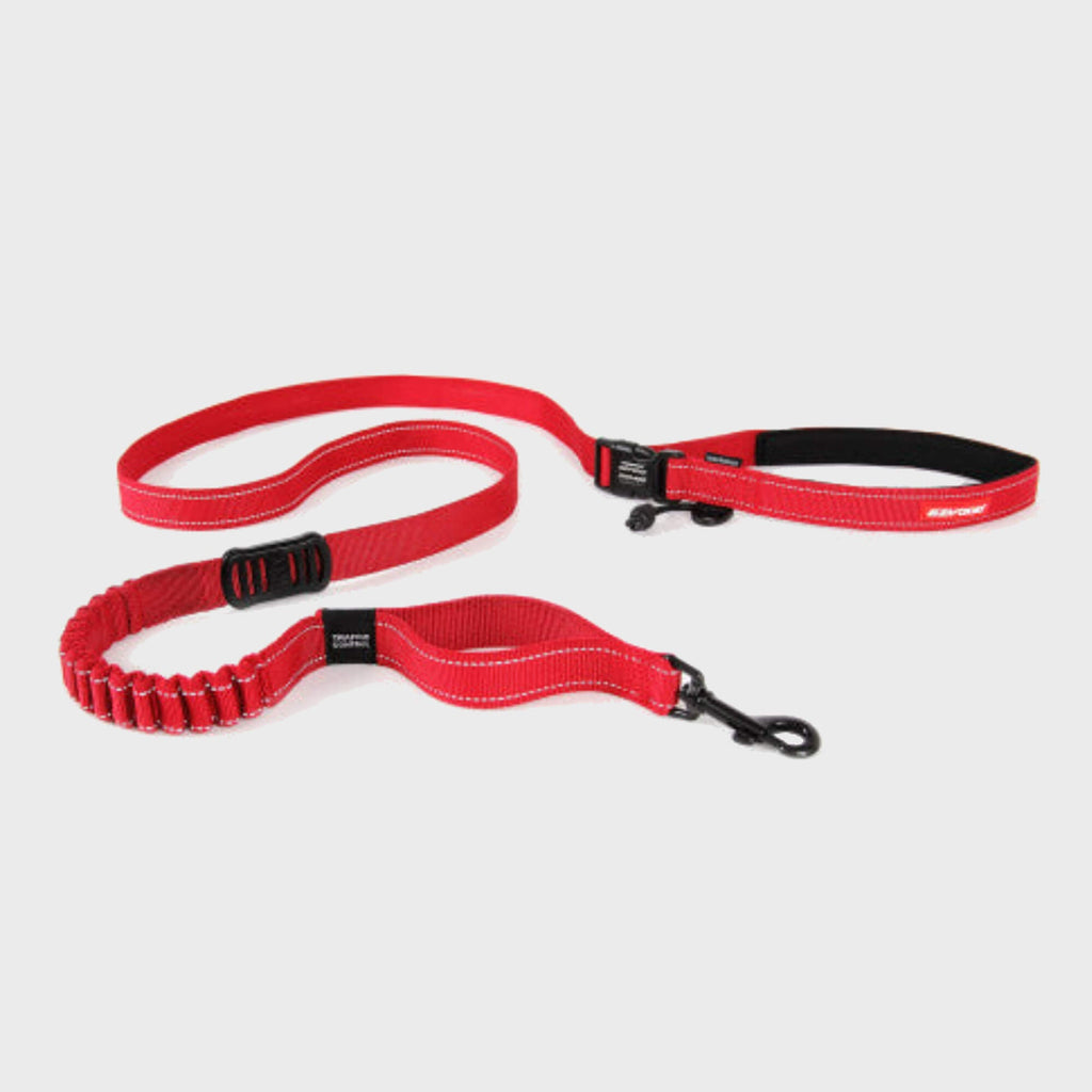 EzyDog Lead Road Runner