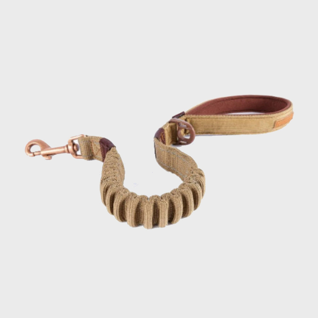 Zero Shock Dog Lead - Slickers ‚óä Doghouse