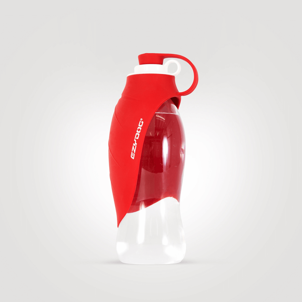 Leaf Water Bottle - Slickers ‚óä Doghouse