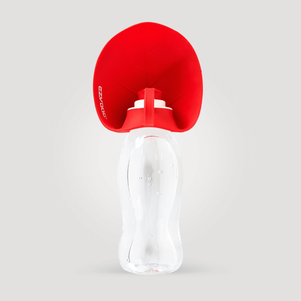 Leaf Water Bottle - Slickers ‚óä Doghouse