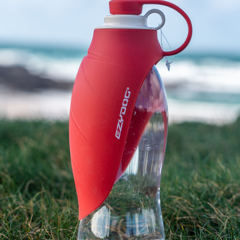 EzyDog Water Bottle Leaf Water Bottle