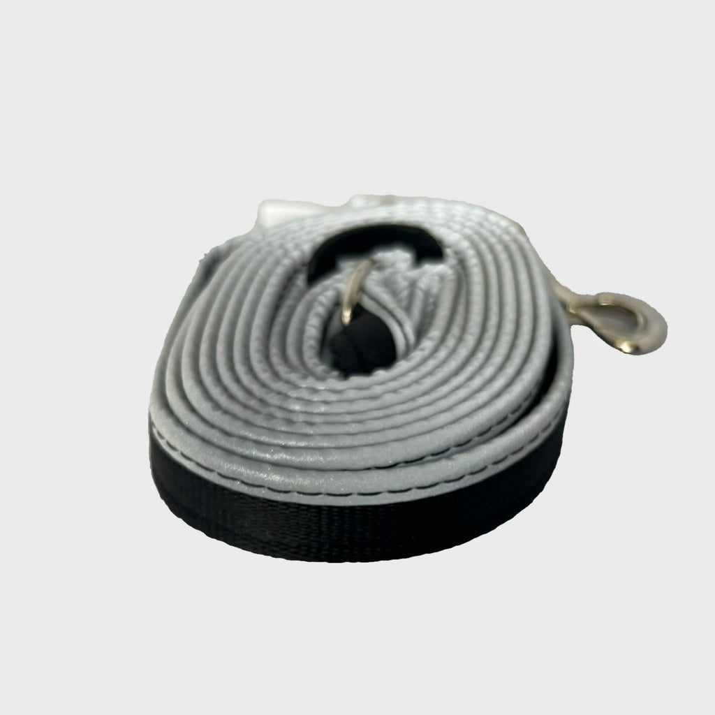 Gencon All - In - One Clip to Collar - Slickers ◊ Doghouse