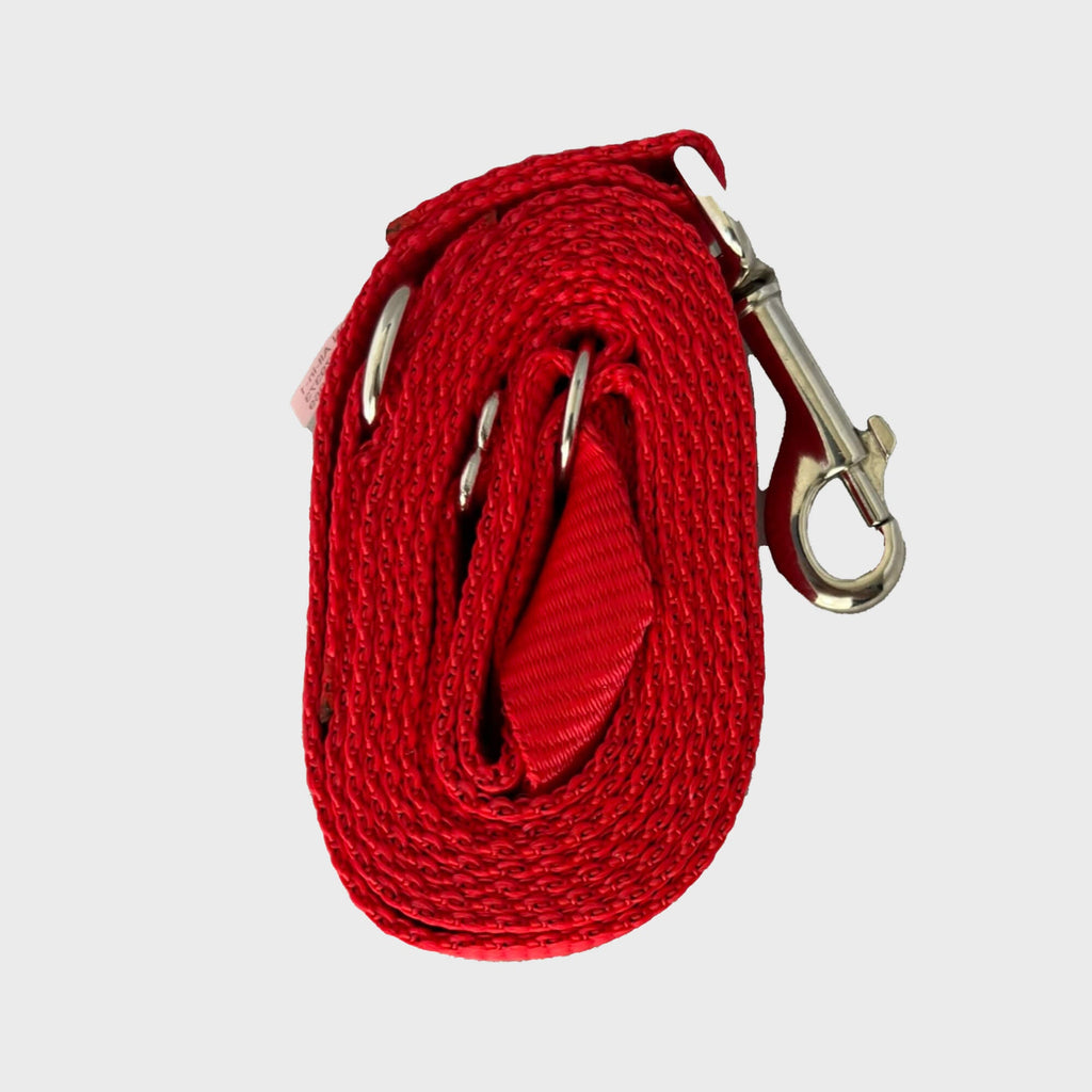 Gencon All - In - One Clip to Collar - Slickers ◊ Doghouse