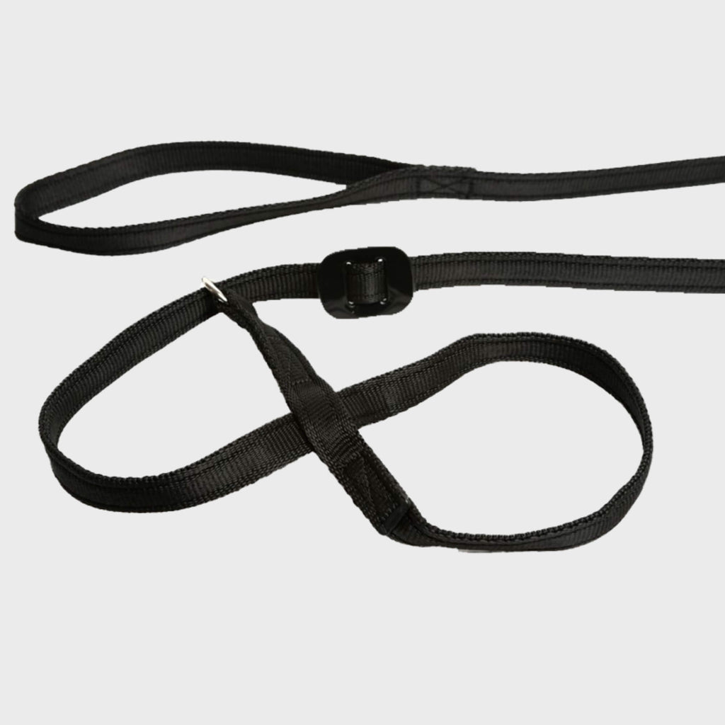 Gencon Head Collar - Slickers ‚Äö√≥√§ Doghouse