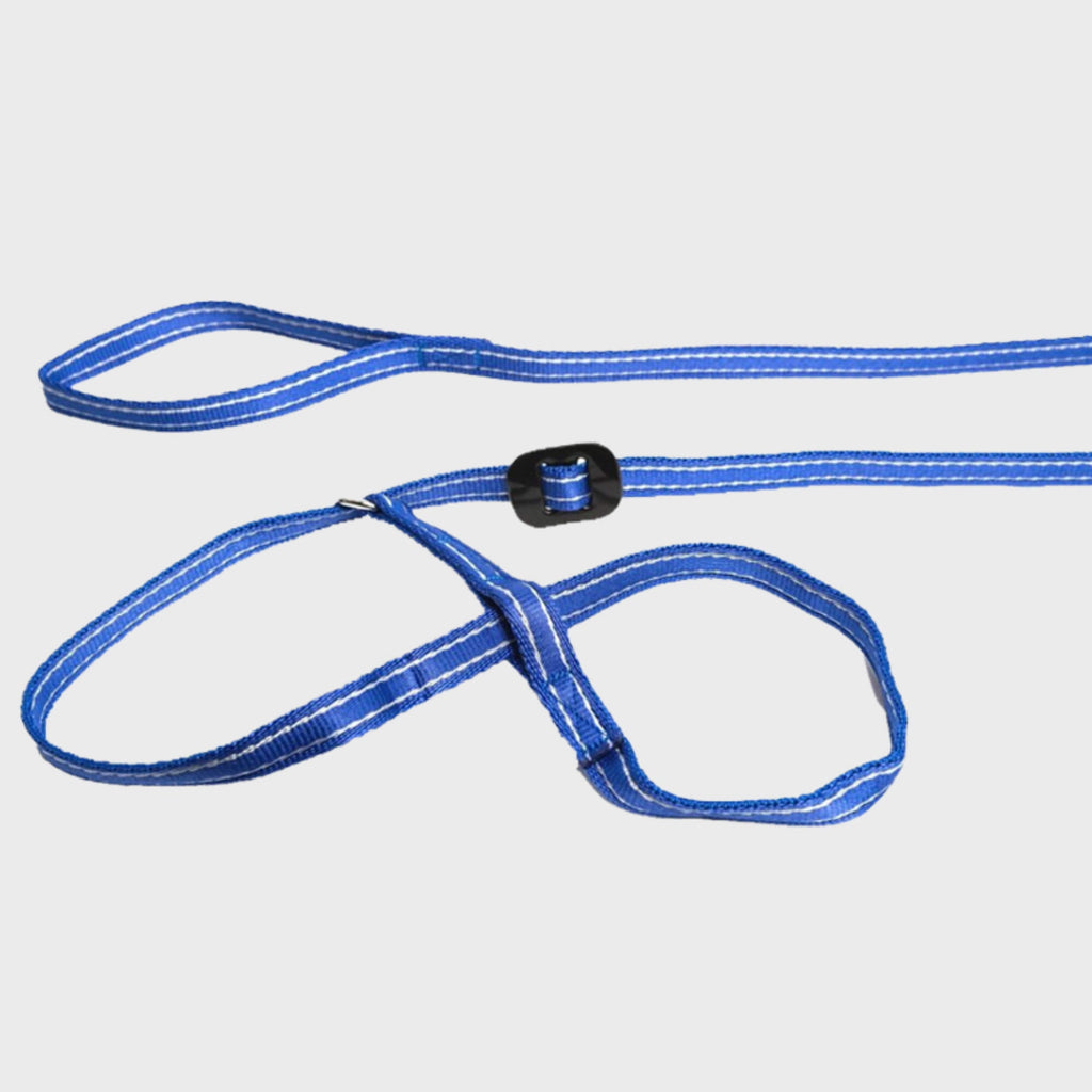 Gencon Collar Medium 31" - 34" / Blue / White Gencon Head Collar
