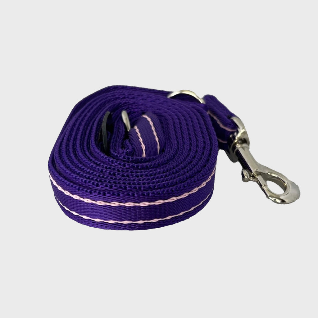 Gencon Lead Purple / Pink Gencon All-In-One Clip to Collar