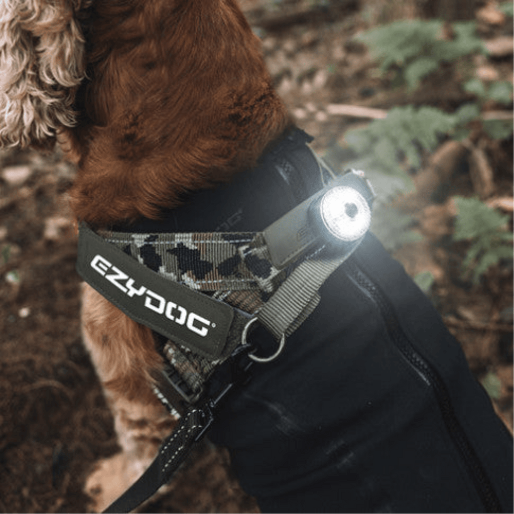 GO2 Light - Slickers ◊ Doghouse