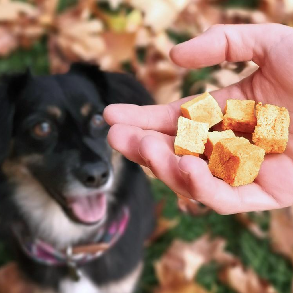 Homemade high value sales dog training treats