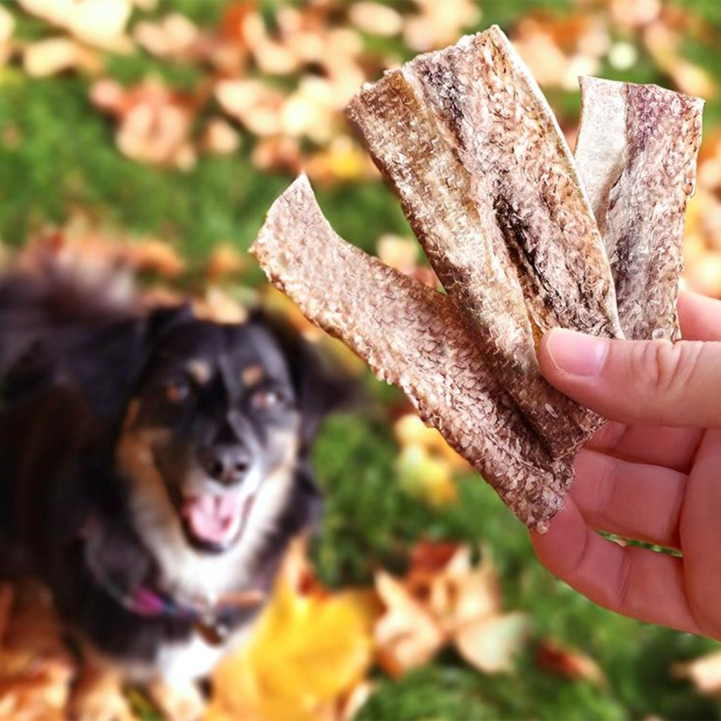 Whitefish Jerky Value Pack - Slickers ‚óä Doghouse