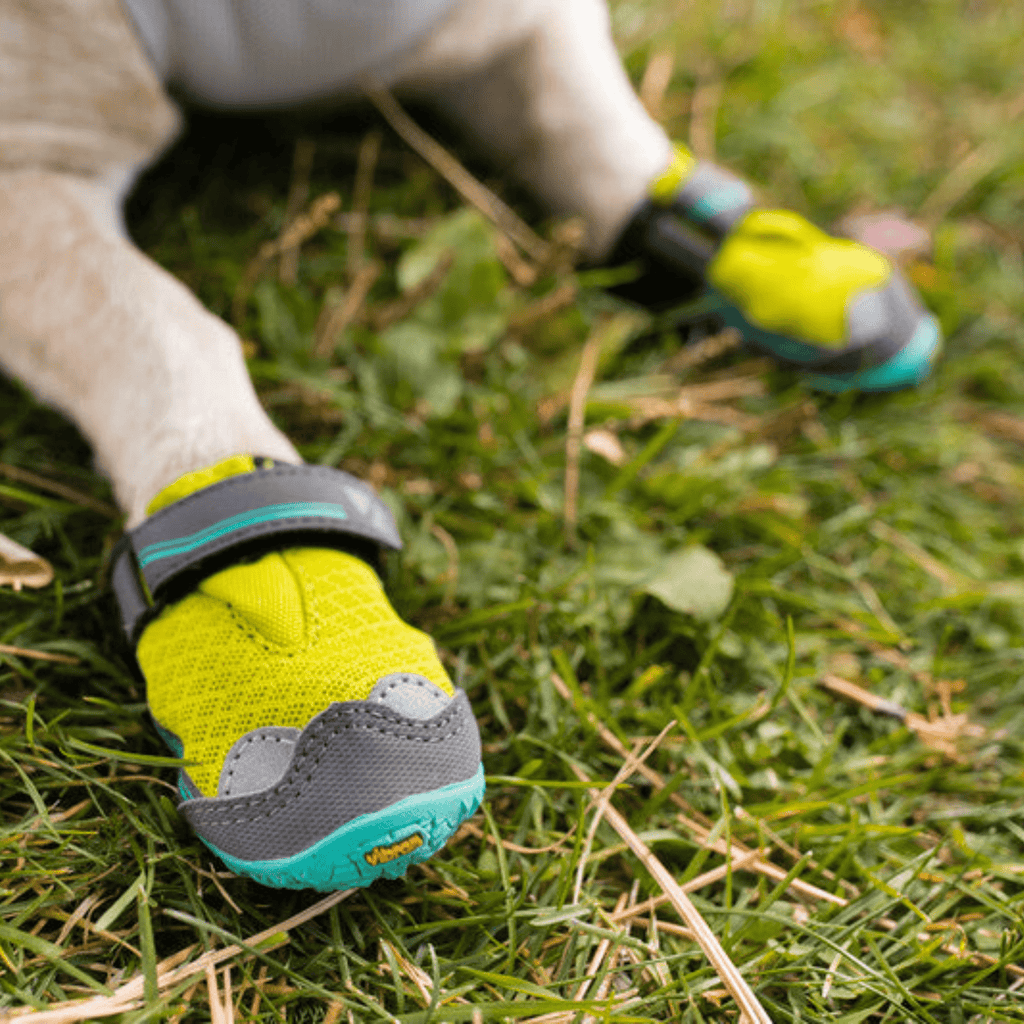 Grip Trex Dog Boots - Slickers ◊ Doghouse