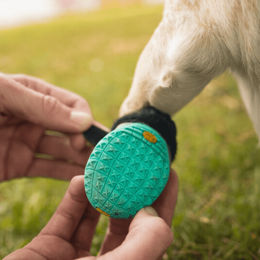 Grip Trex Dog Boots - Slickers ◊ Doghouse