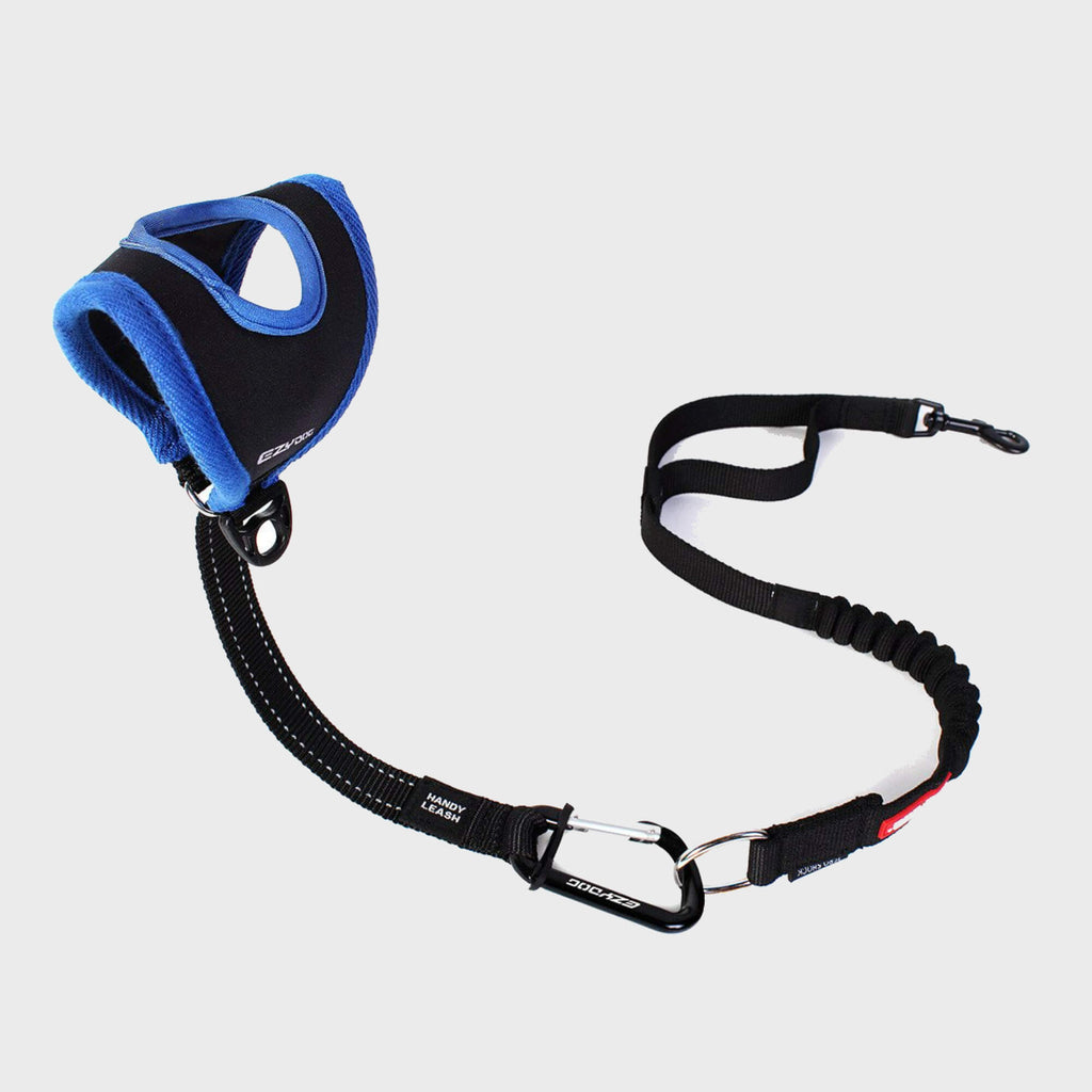 Handy Leash - Slickers ◊ Doghouse