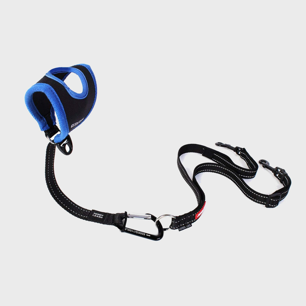 Handy Leash - Slickers ◊ Doghouse