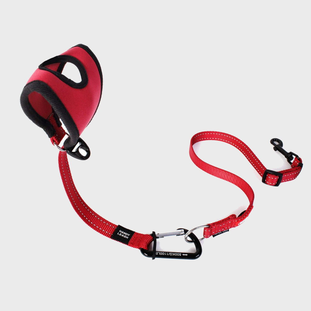 Handy Leash - Slickers ◊ Doghouse