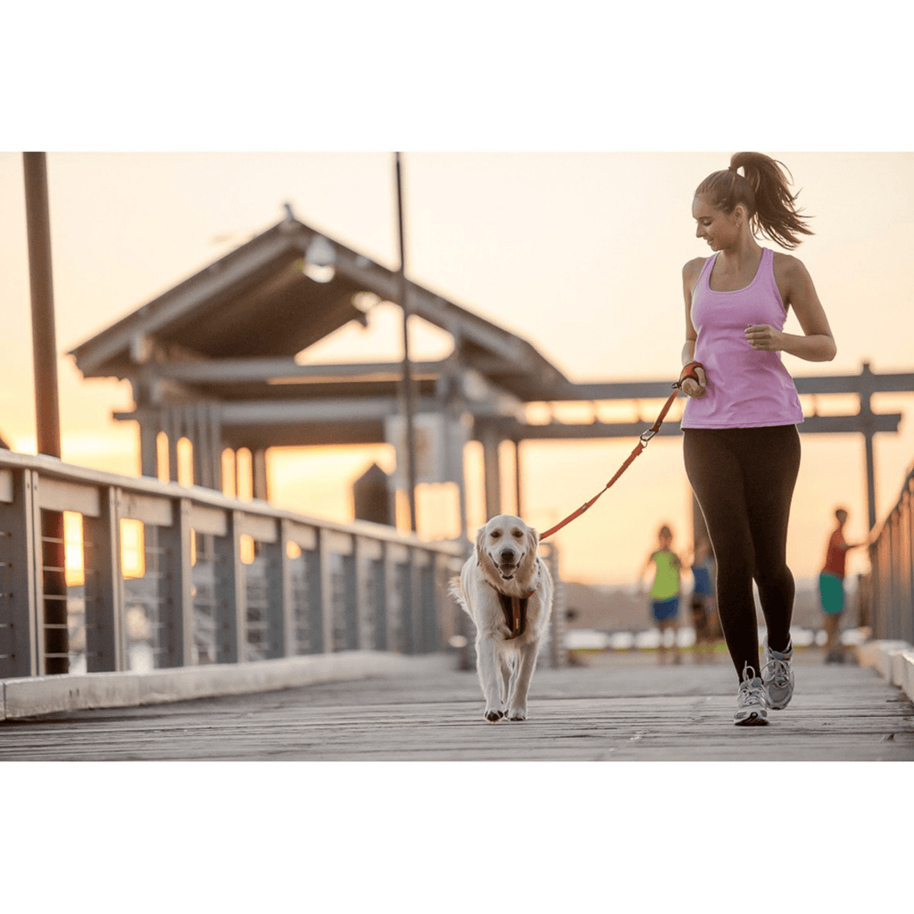 Handy Leash - Slickers ◊ Doghouse