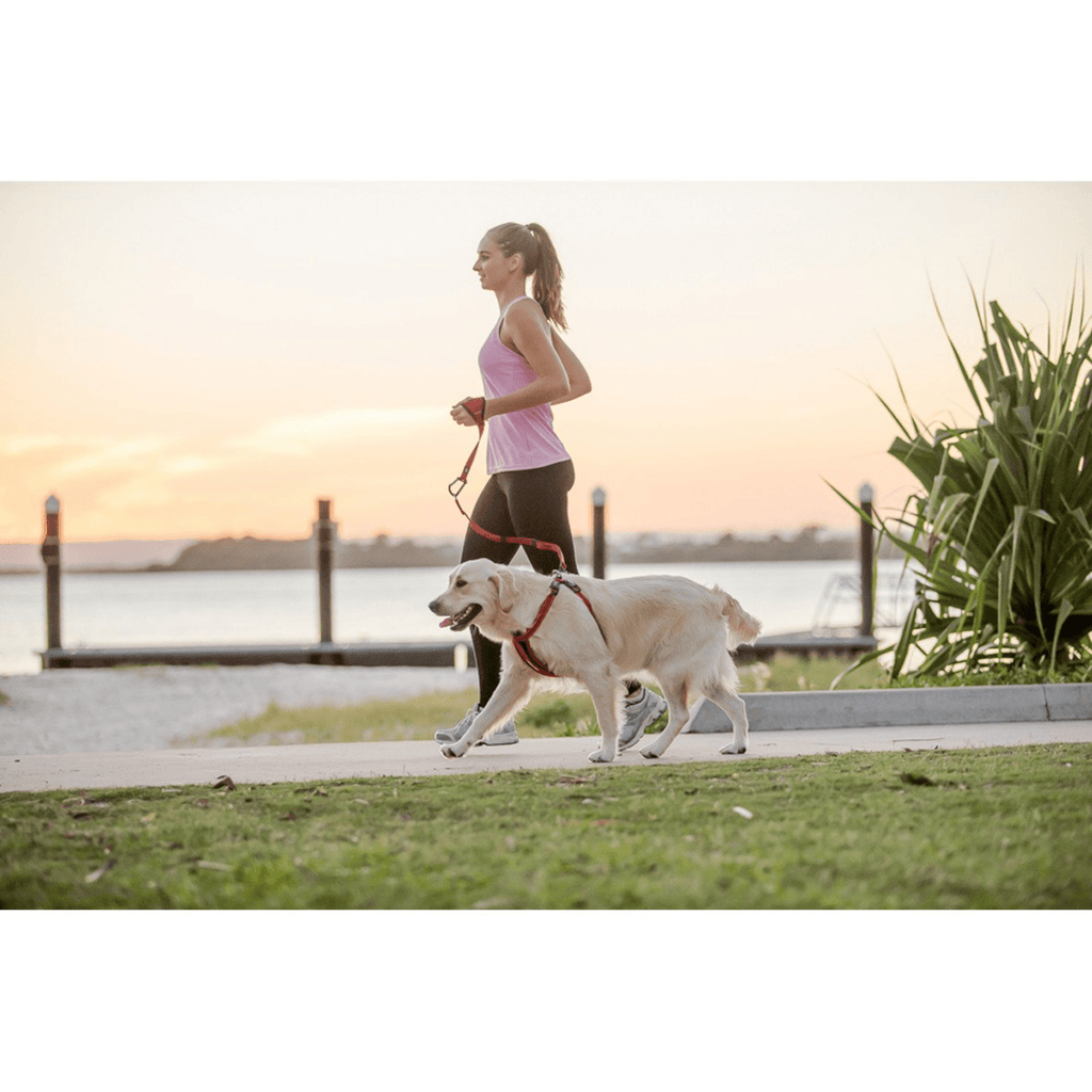 Handy Leash - Slickers ◊ Doghouse