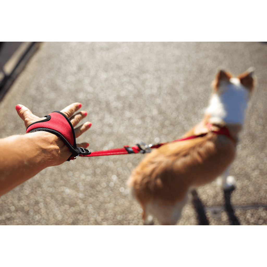 Handy Leash - Slickers ◊ Doghouse