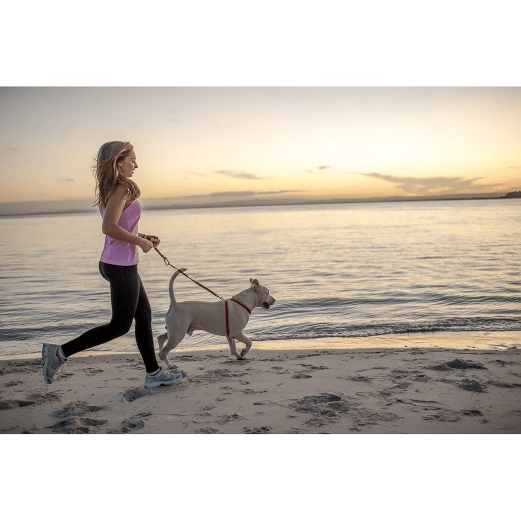 Handy Leash - Slickers ◊ Doghouse