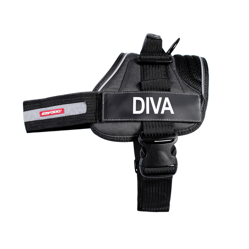 Harness Side Badges - Slickers ◊ Doghouse