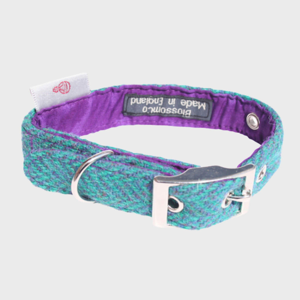 Harris Tweed Collars - Slickers ◊ Doghouse