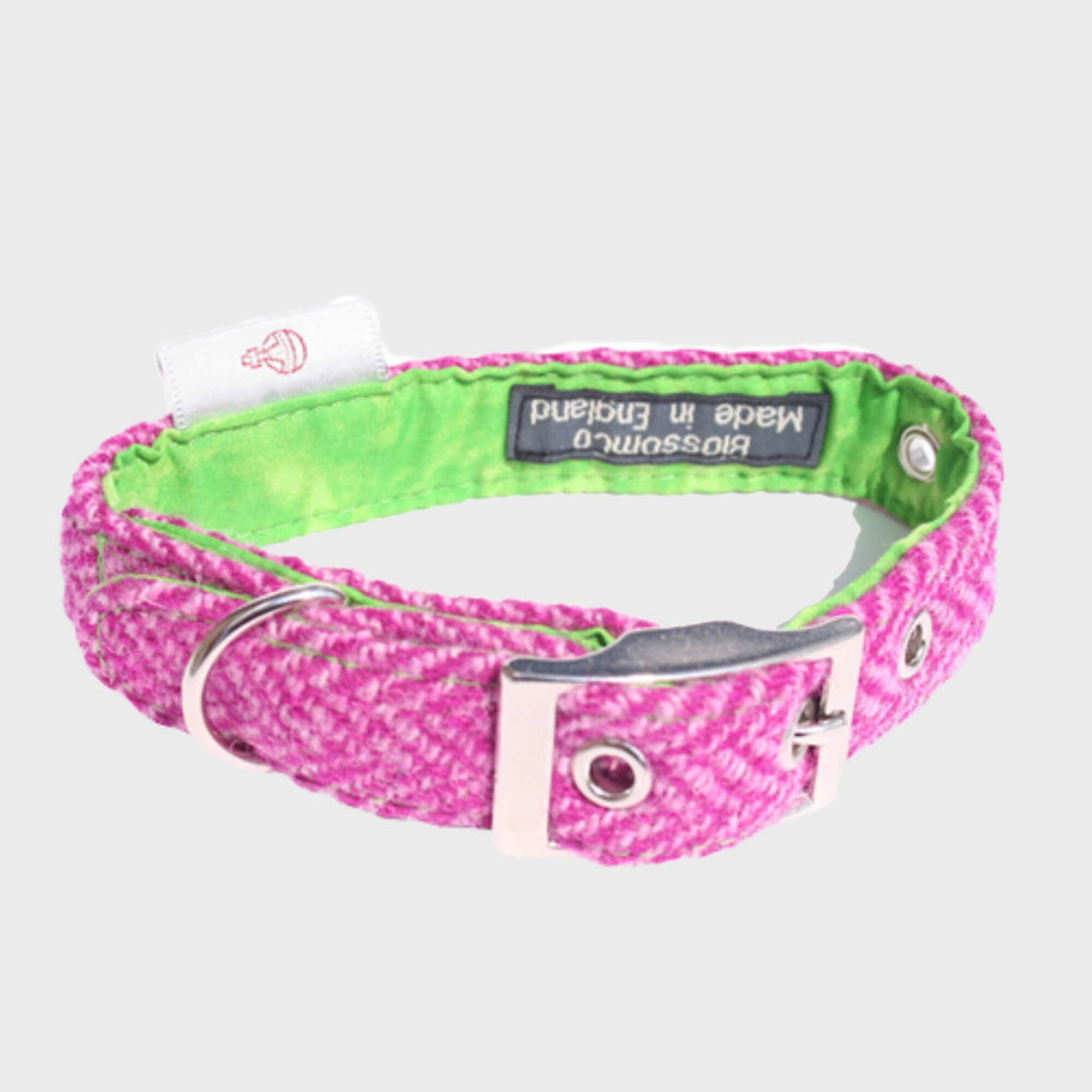 Harris Tweed Collars - Slickers ◊ Doghouse