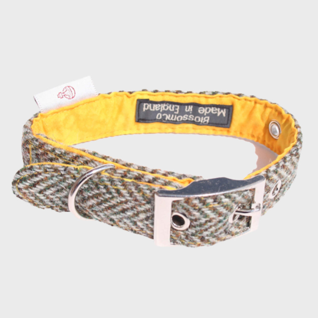 Harris Tweed Collars - Slickers ◊ Doghouse