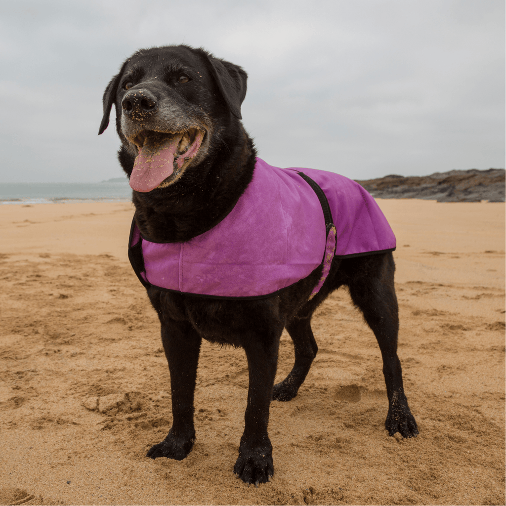 KeepCool Dog Coats in Four Colours - Slickers ◊ Doghouse
