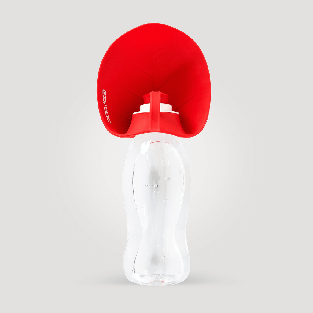 Leaf Water Bottle - Slickers ◊ Doghouse