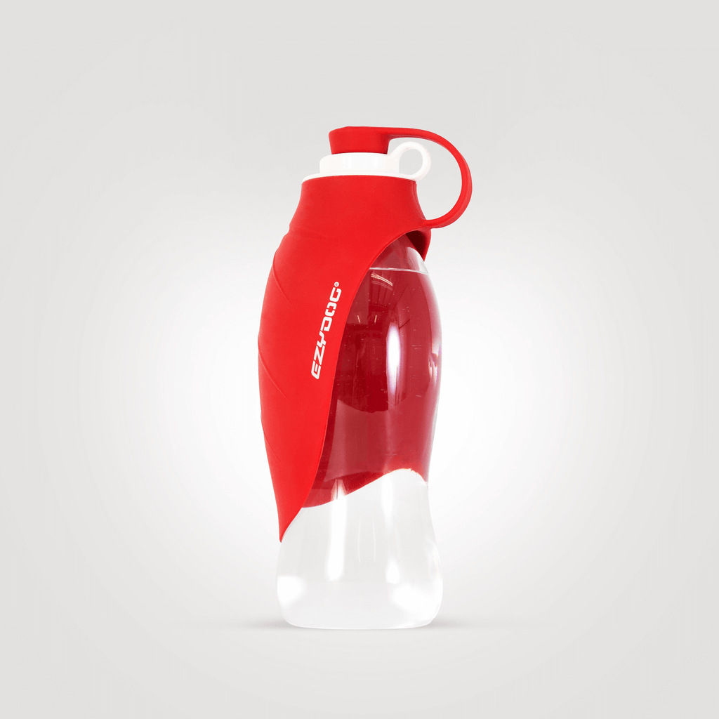 Leaf Water Bottle - Slickers ◊ Doghouse