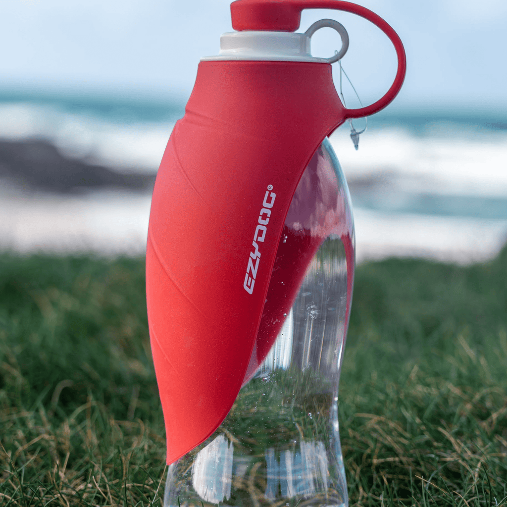 Leaf Water Bottle - Slickers ◊ Doghouse