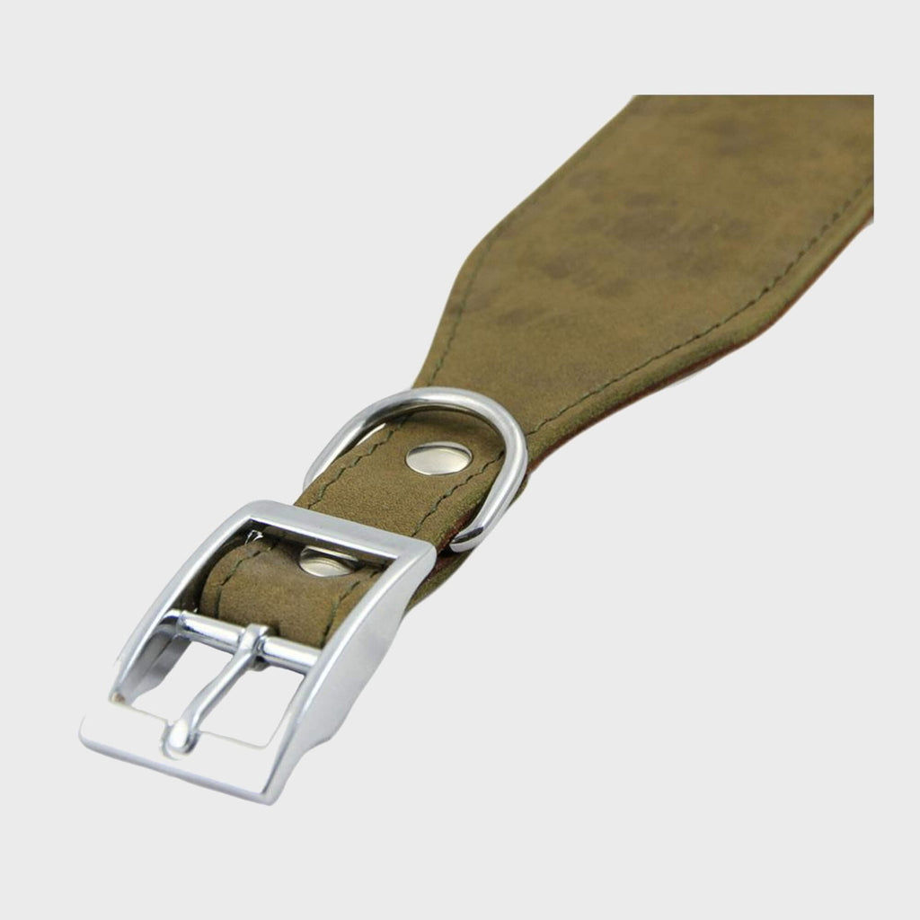 Leather Whippet Collars - Slickers ◊ Doghouse