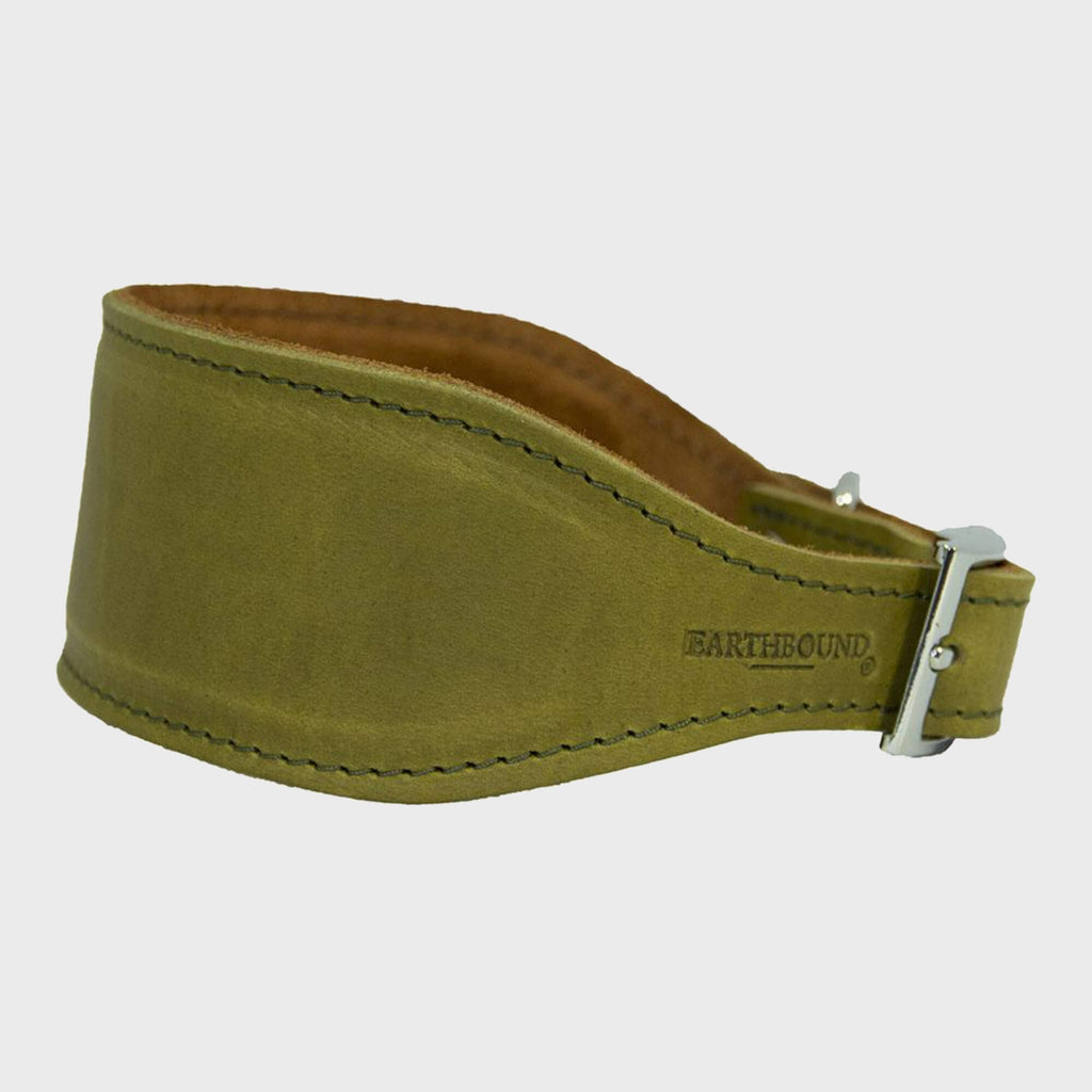 Leather Whippet Collars - Slickers ◊ Doghouse