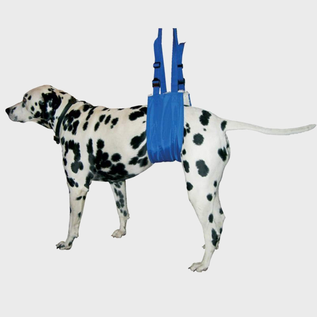 Lift Support - Slickers ◊ Doghouse