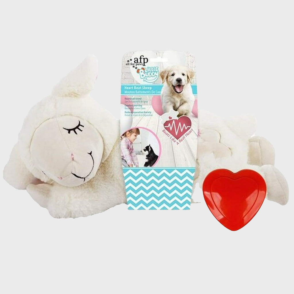 Little Buddy Heart Beat Sheep - Slickers ◊ Doghouse