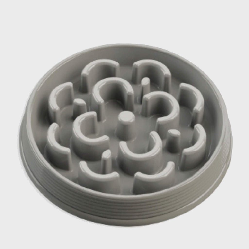 Medallion slow feeder puzzle dog bowl - Slickers ◊ Doghouse