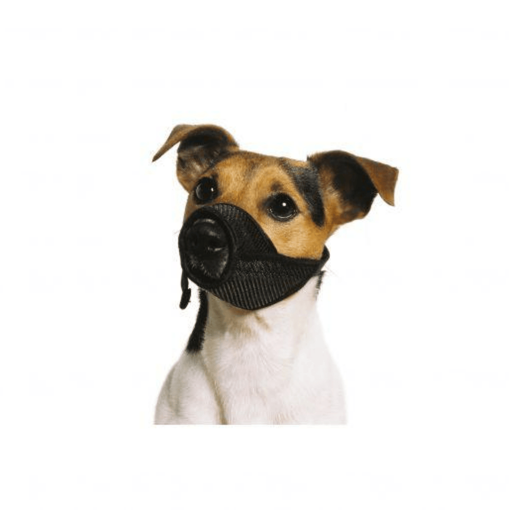Mesh Muzzle - Slickers ◊ Doghouse