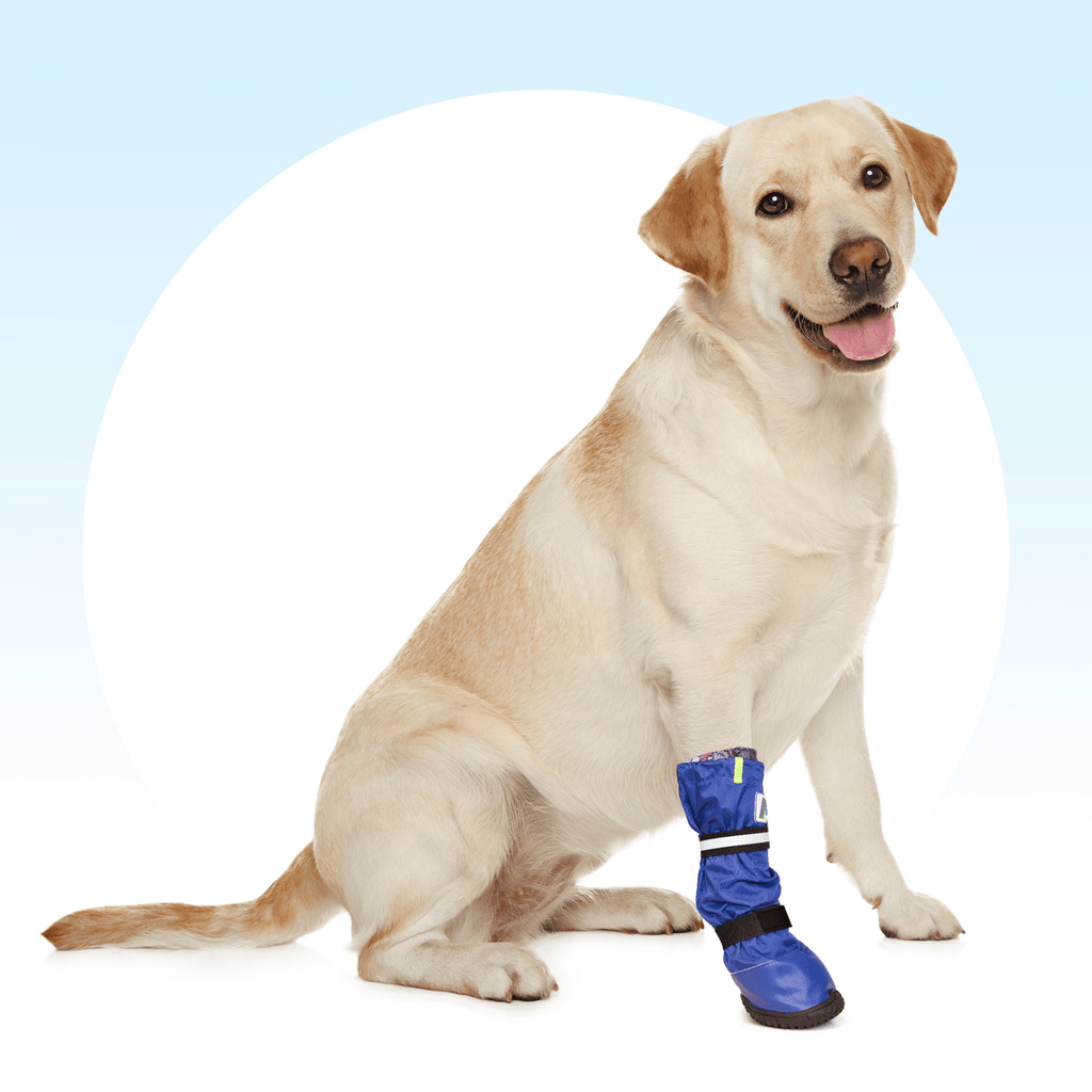 MPS Medical PetS Boot - Slickers ◊ Doghouse
